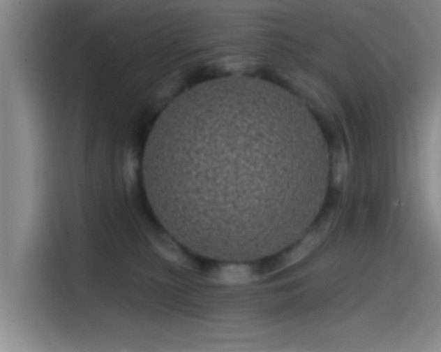 X0000114200279200910161231