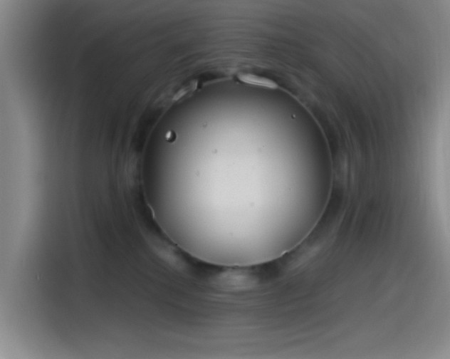 X0000114200280200910161231