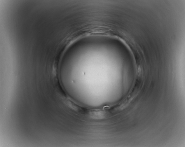 X0000114200282200910161231