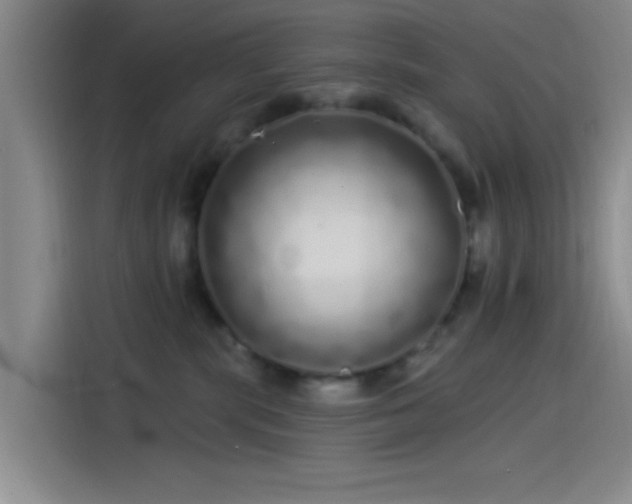 X0000114200283200910161231