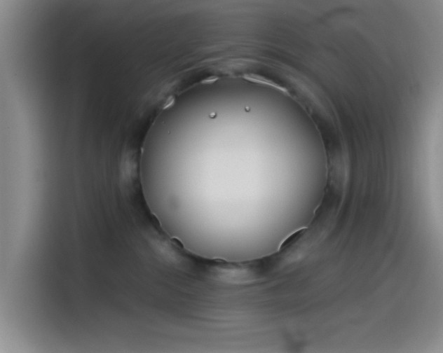 X0000114200284200910161231