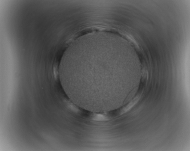 X0000114200285200910161231