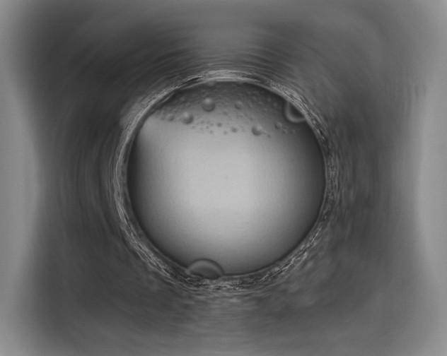 X0000114200289200910161230