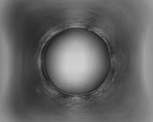 X0000114200290200910161230