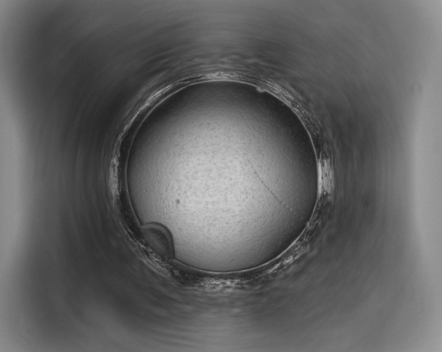 X0000114200291200910161230