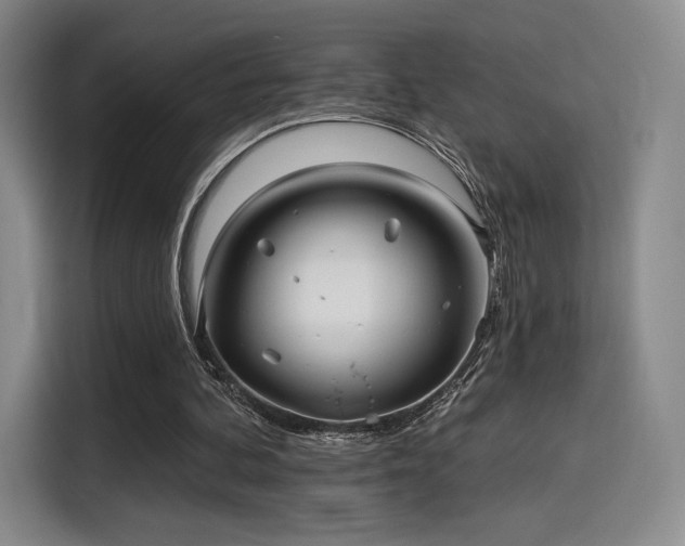 X0000114200292200910161230