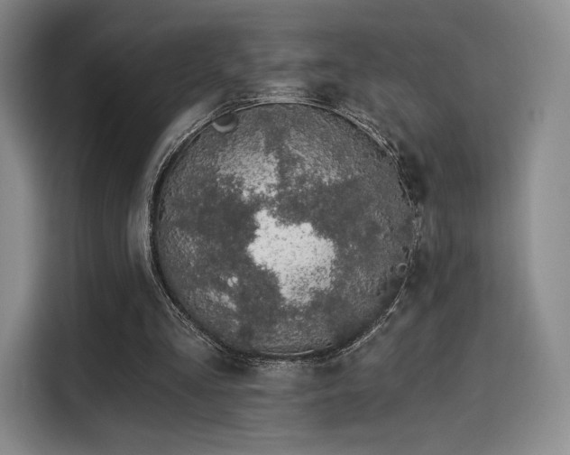 X0000114200293200910161230