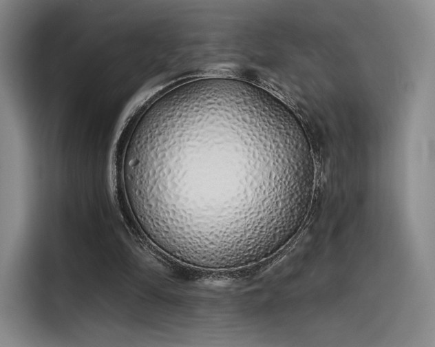 X0000114200294200910161230