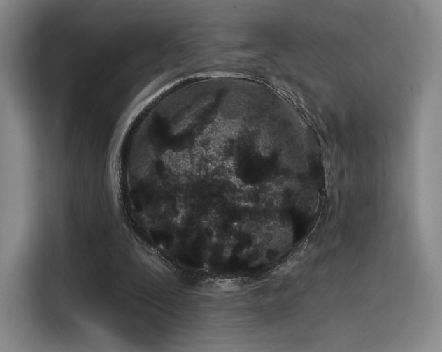 X0000114200295200910161230