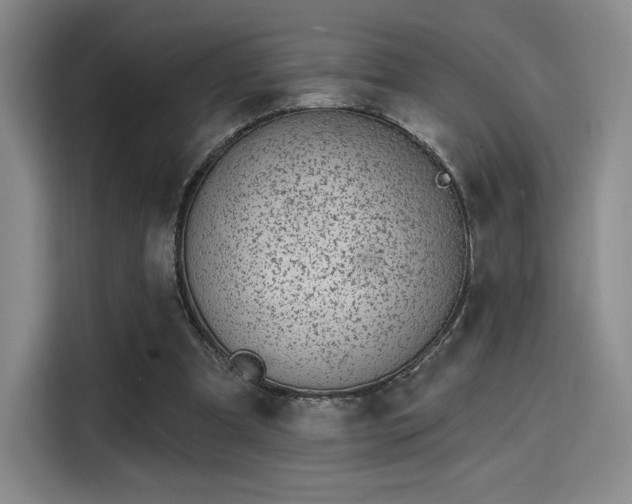 X0000114200297200910161230