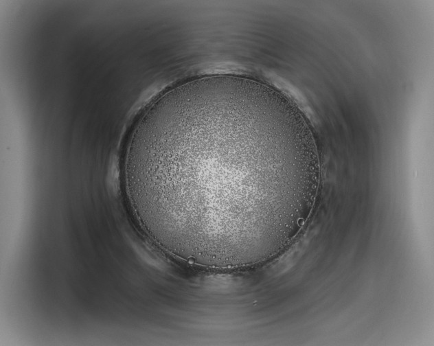 X0000114200298200910161230