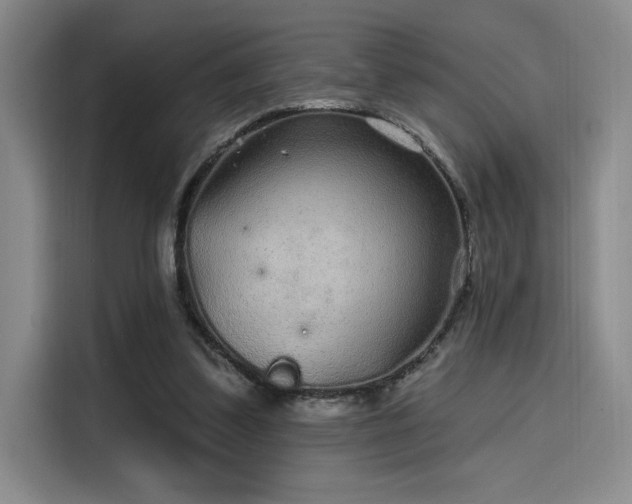 X0000114200299200910161230