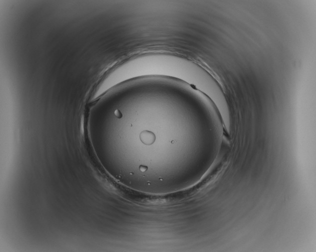 X0000114200301200910161230