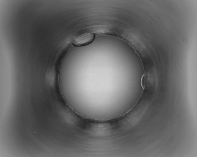 X0000114200304200910161230