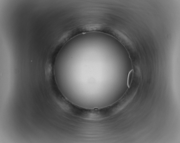 X0000114200308200910161230