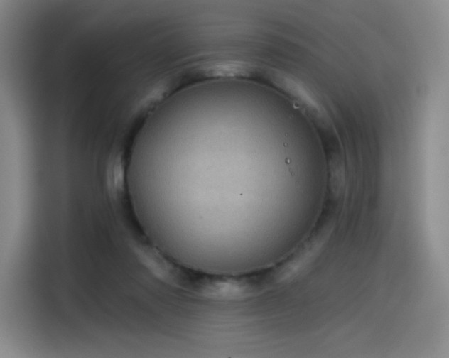 X0000114200310200910161230