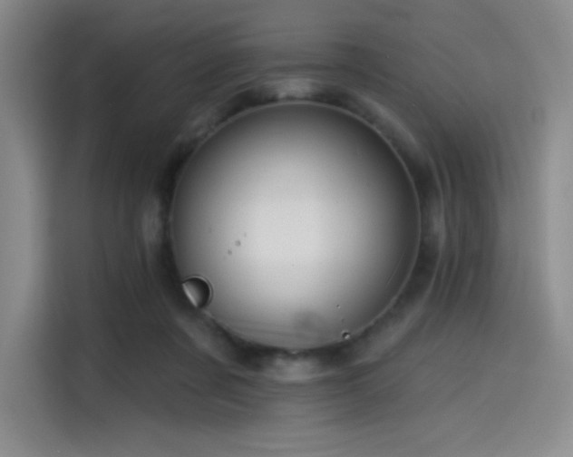 X0000114200311200910161230