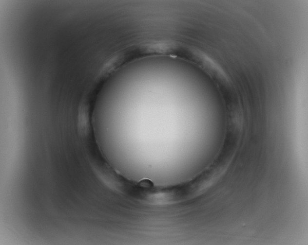 X0000114200312200910161230