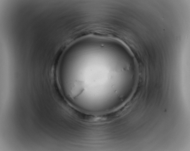 X0000114200319200910161230