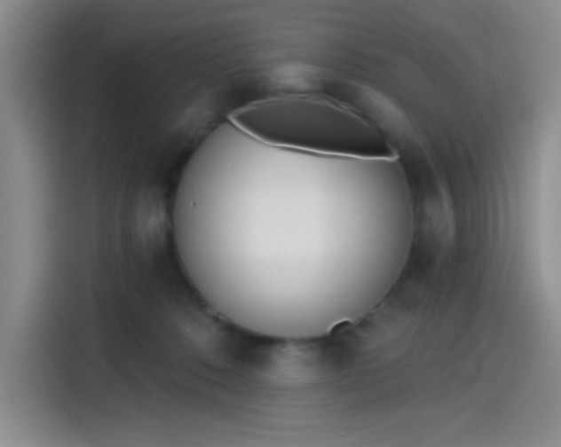 X0000114200320200910161230