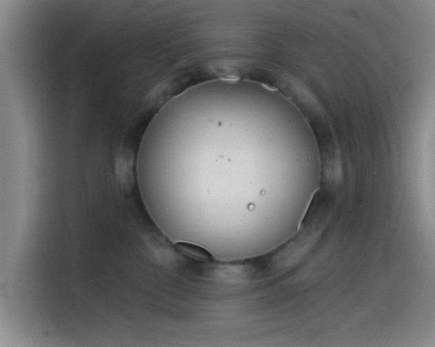 X0000114200332200910161230