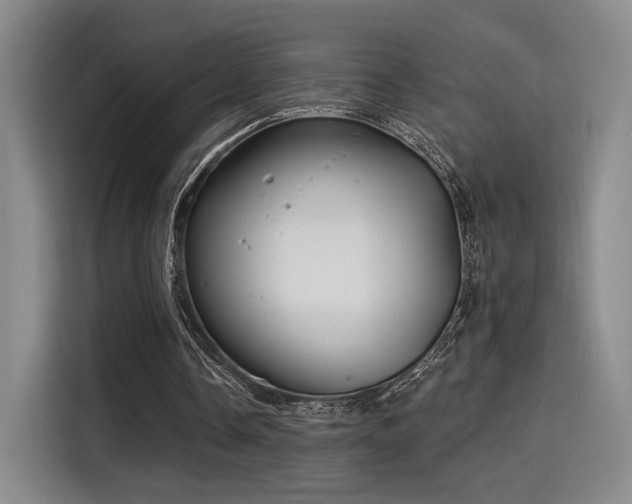 X0000114200338200910161229