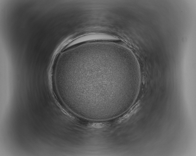 X0000114200341200910161229