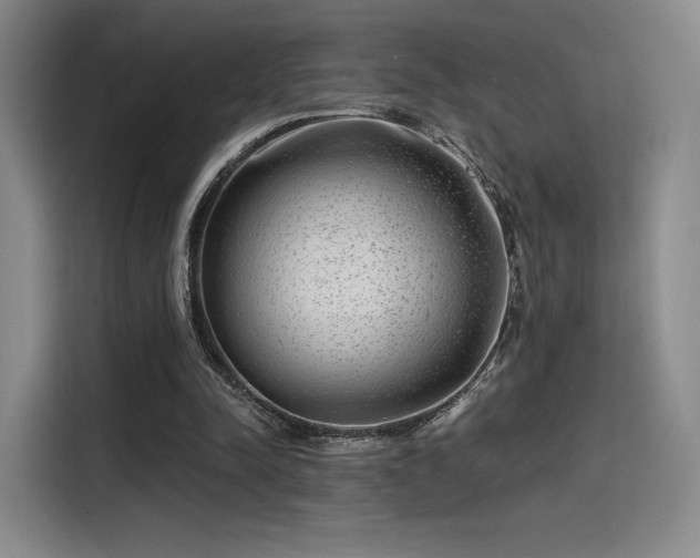 X0000114200342200910161229