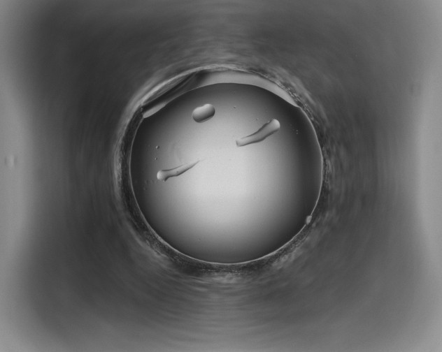 X0000114200344200910161229