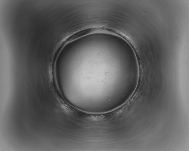 X0000114200345200910161229