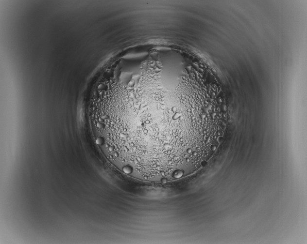 X0000114200347200910161229