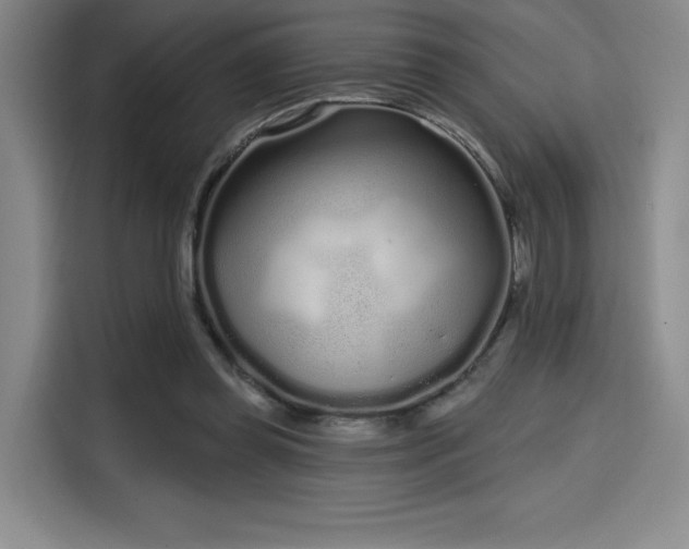 X0000114200349200910161229