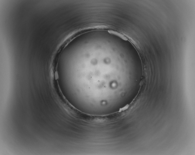 X0000114200350200910161229