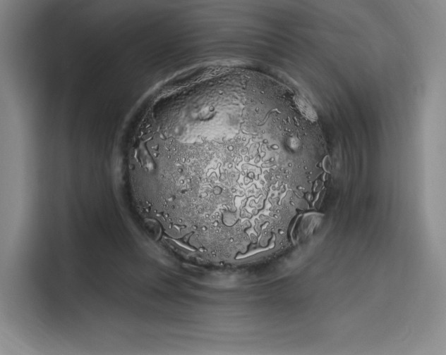 X0000114200351200910161229