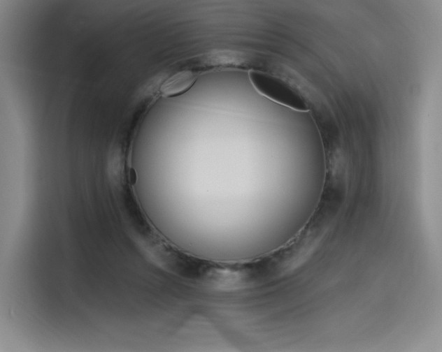 X0000114200352200910161229