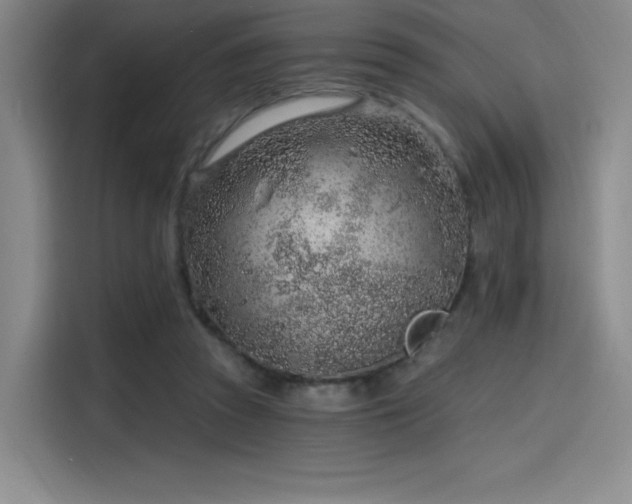 X0000114200353200910161229