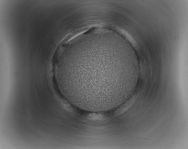 X0000114200354200910161229