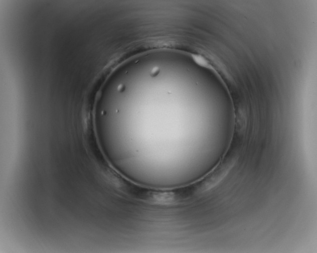 X0000114200355200910161229