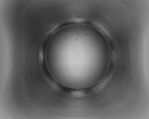 X0000114200358200910161229