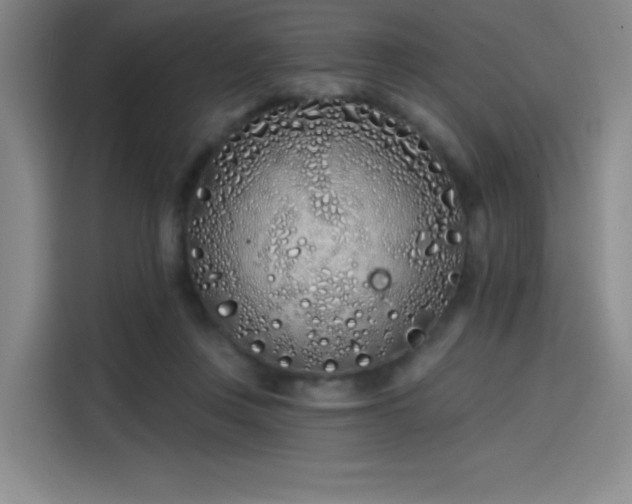 X0000114200359200910161229