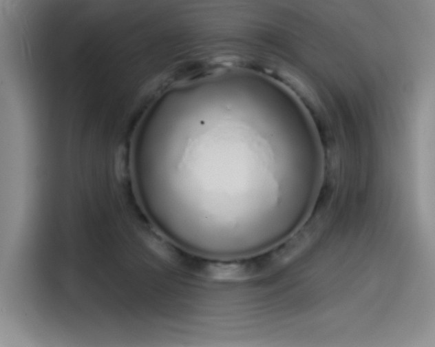 X0000114200361200910161229