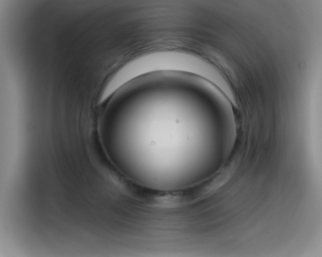 X0000114200362200910161229