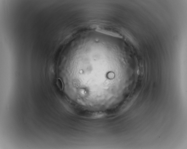 X0000114200363200910161229