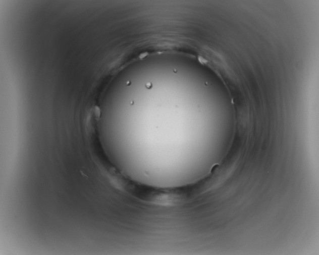 X0000114200364200910161229