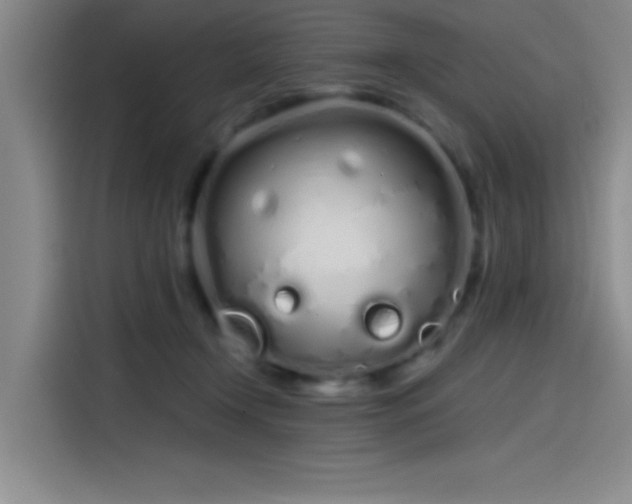 X0000114200366200910161229