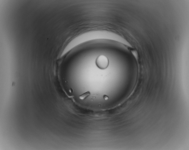 X0000114200368200910161229