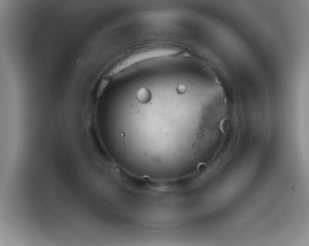 X0000114200370200910161229