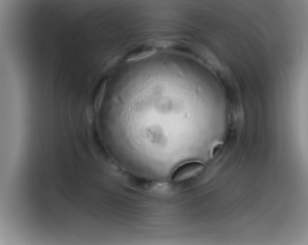 X0000114200374200910161229