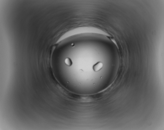 X0000114200376200910161229