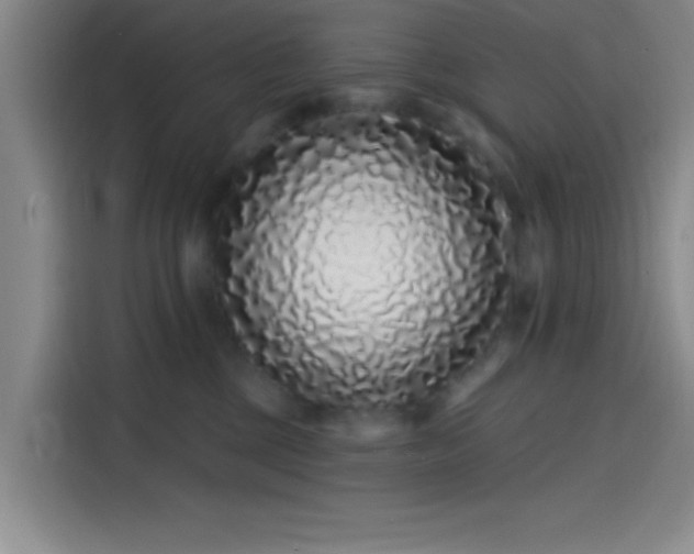 X0000114200377200910161229